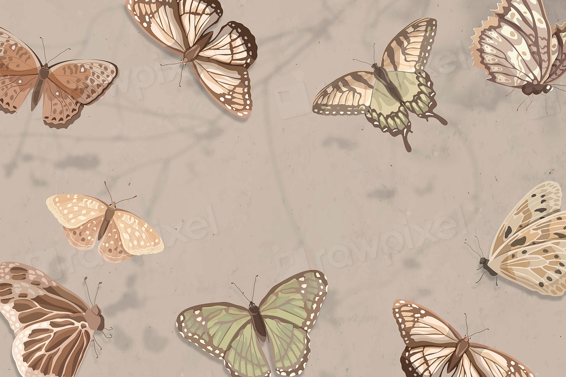 Earth tone butterfly background, beautiful | Premium Vector - rawpixel