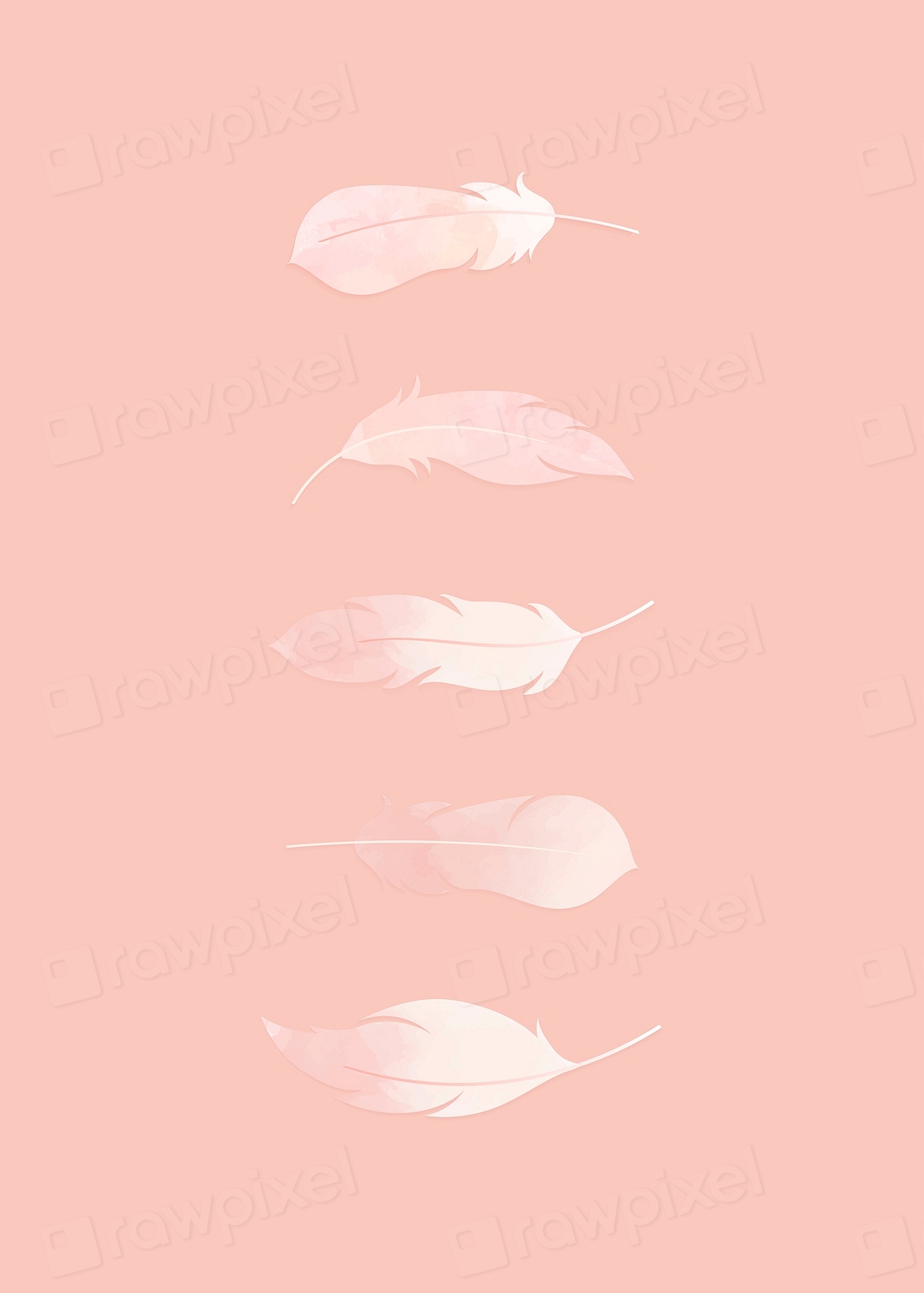 Pink watercolor lightweight feather collection | Premium Vector - rawpixel