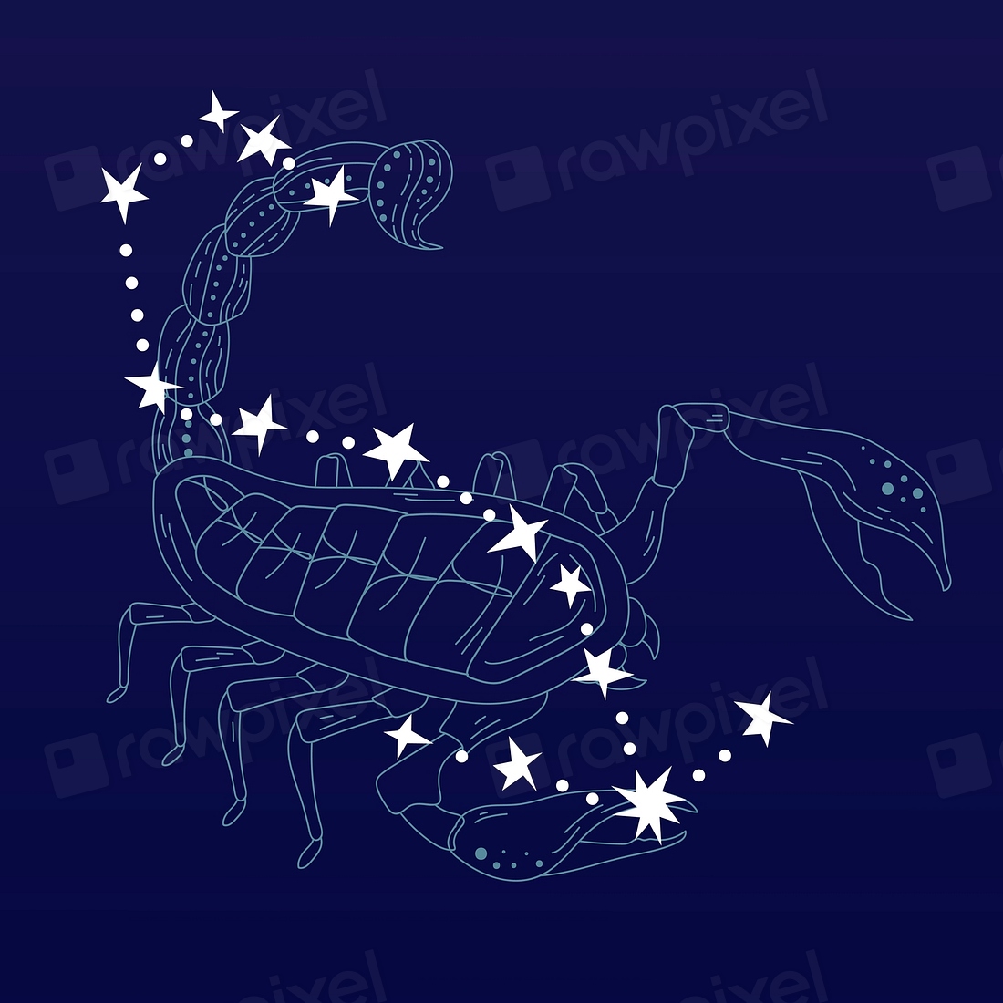 Scorpio astrological sign design vector | Premium Vector - rawpixel