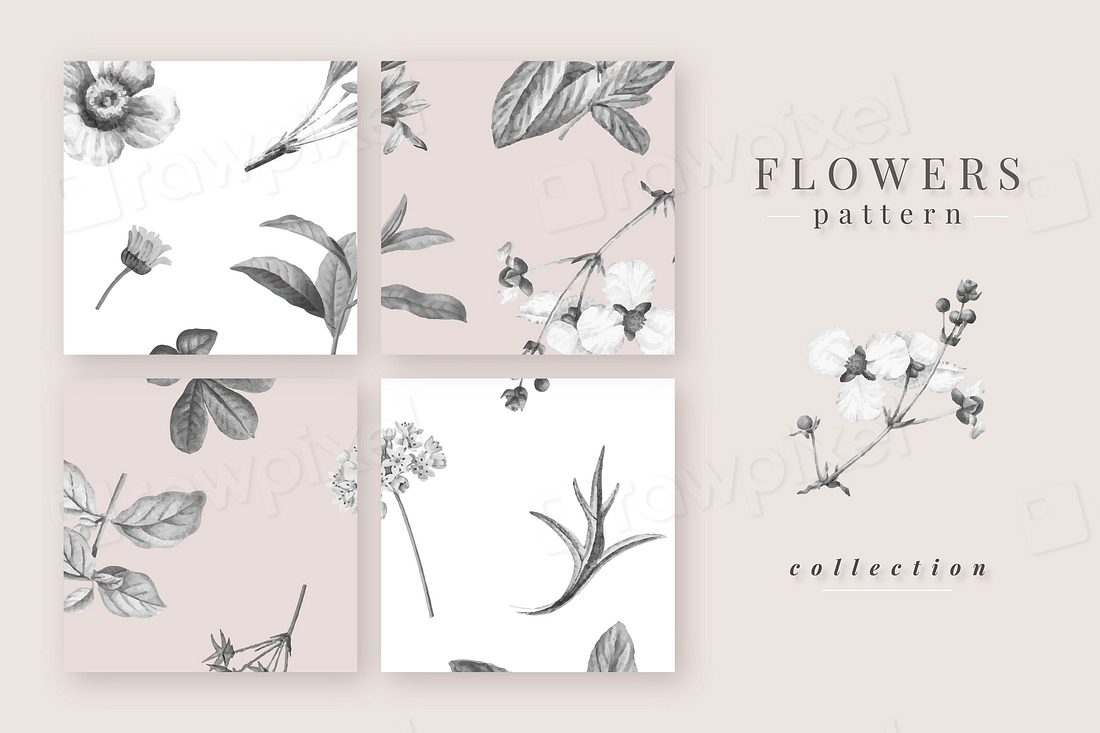 Blooming flowers pattern vector collection | Premium Vector - rawpixel