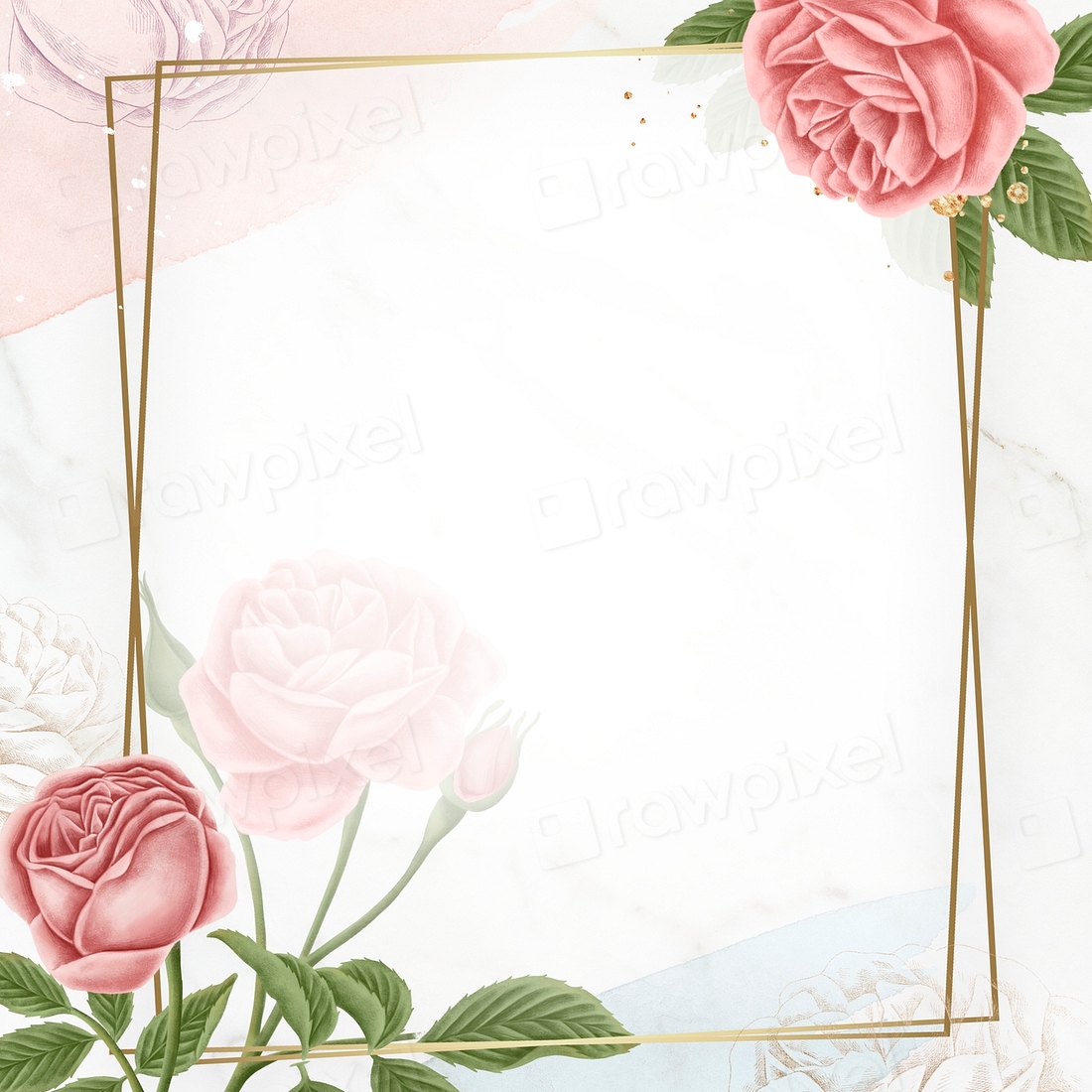 Blooming rose floral frame illustration | Premium Photo - rawpixel