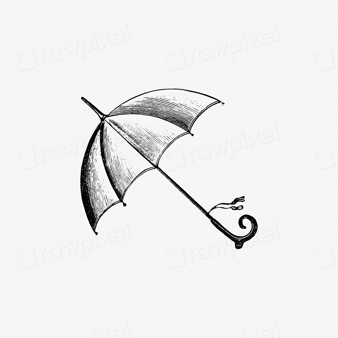 Vintage Victorian style umbrella engraving. Free Photo Illustration