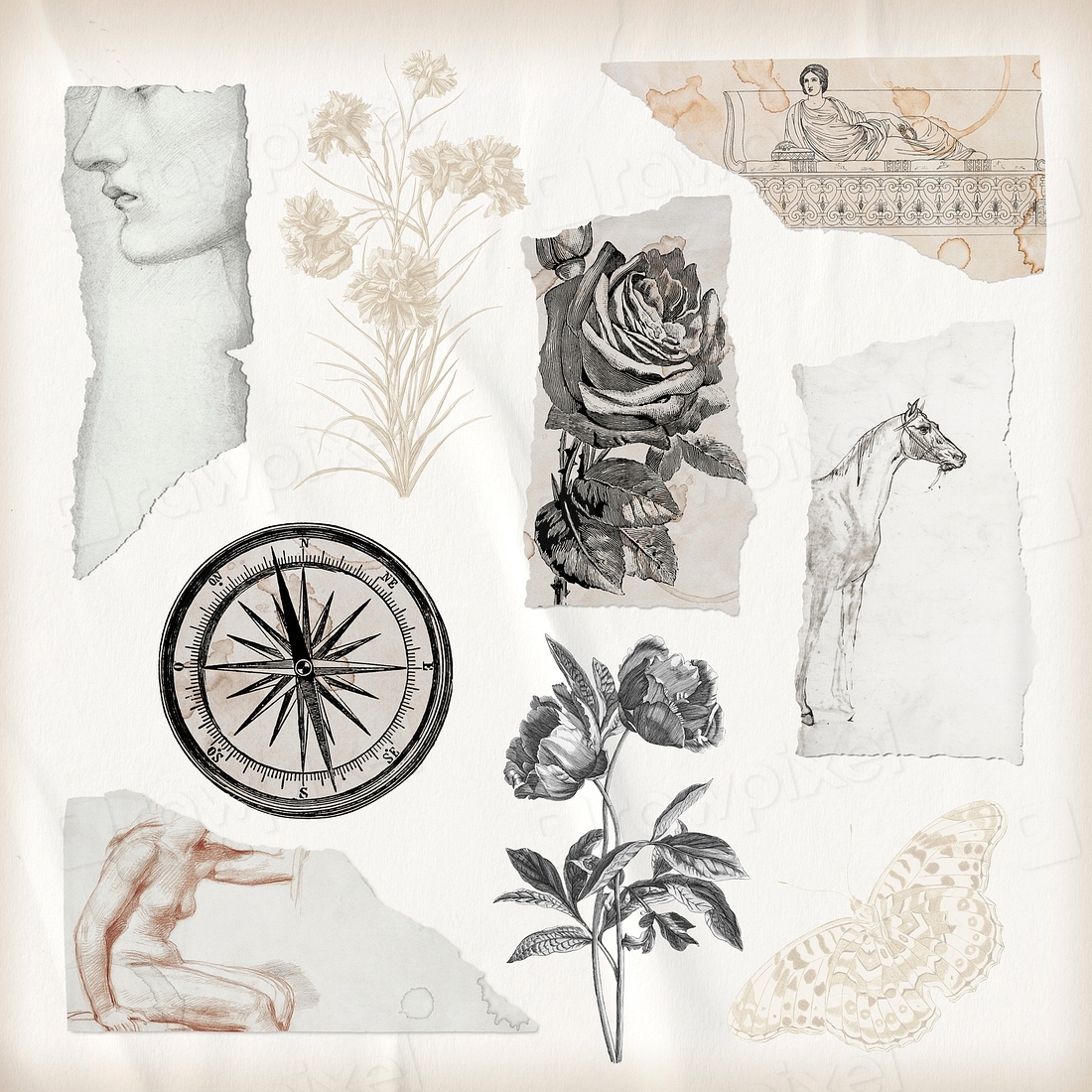 Torn Paper Scrap Journal Collage Premium Psd Rawpixel