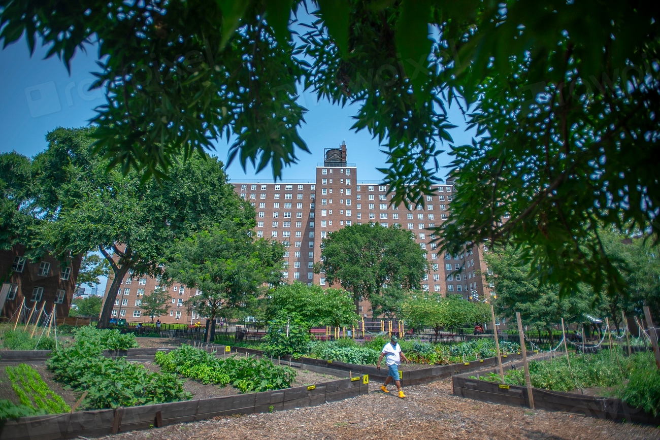 New York City Housing Authority Free Photo rawpixel