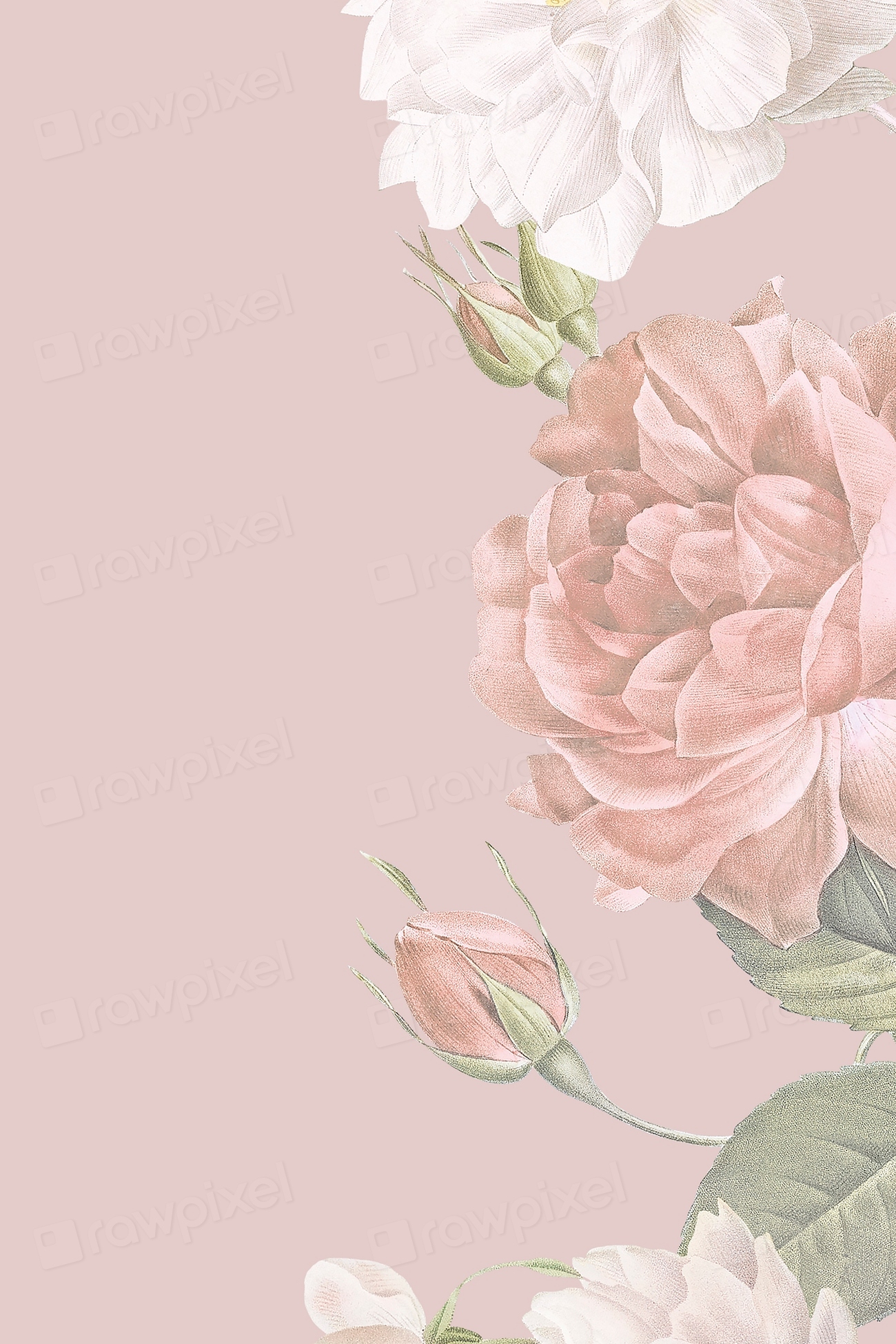 Vintage Rose Background, Flower Border 