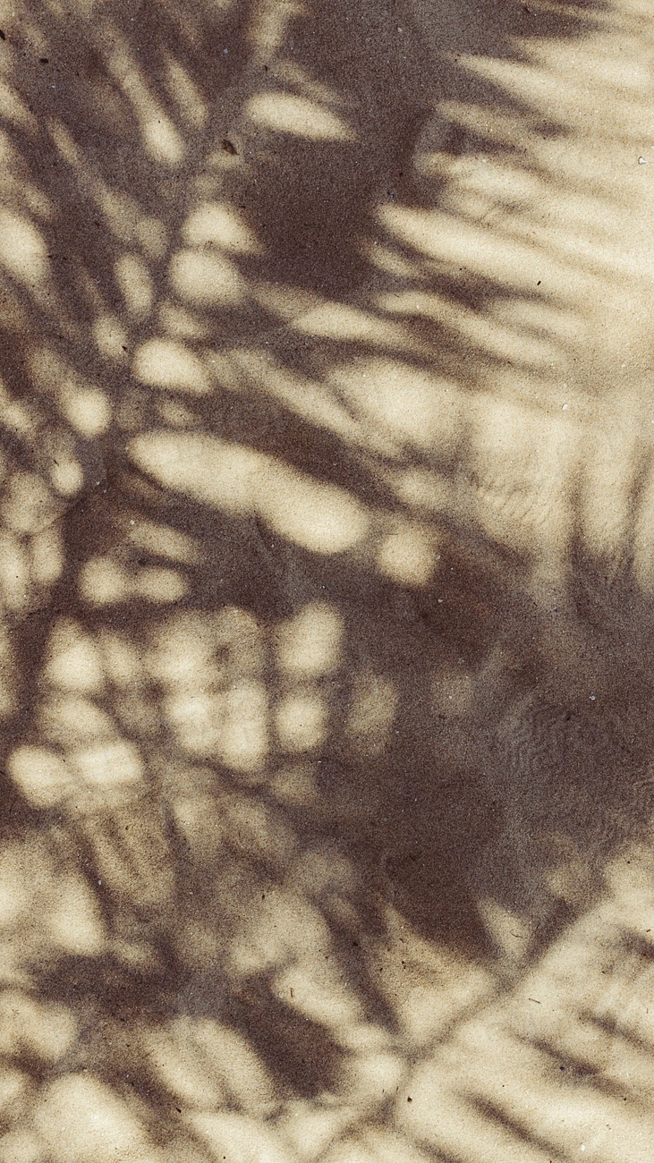 Leaf shadow phone wallpaper, HD | Premium Photo - rawpixel