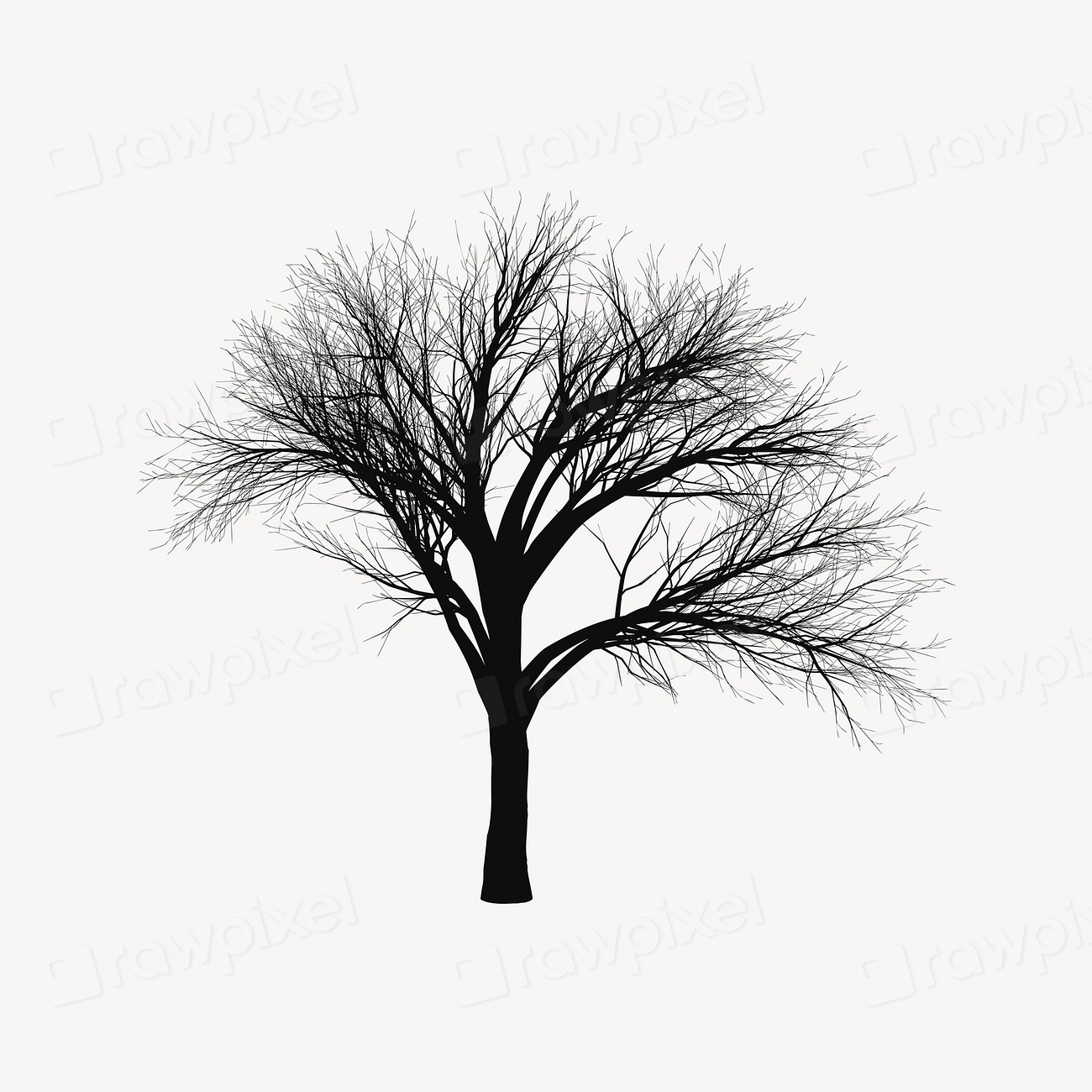 Leafless tree silhouette illustration psd. | Free PSD - rawpixel