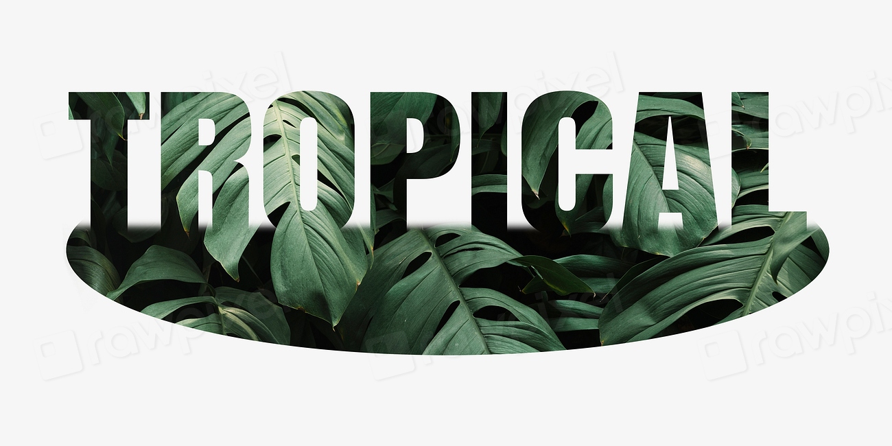 Tropical word, leaf design typography Free Photo rawpixel