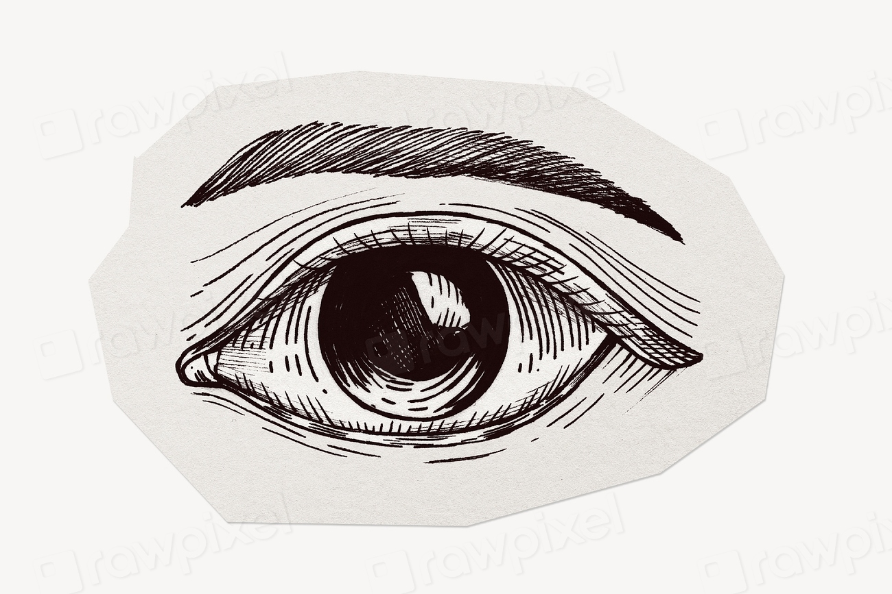 Eye clipart sticker, paper craft Premium Photo rawpixel