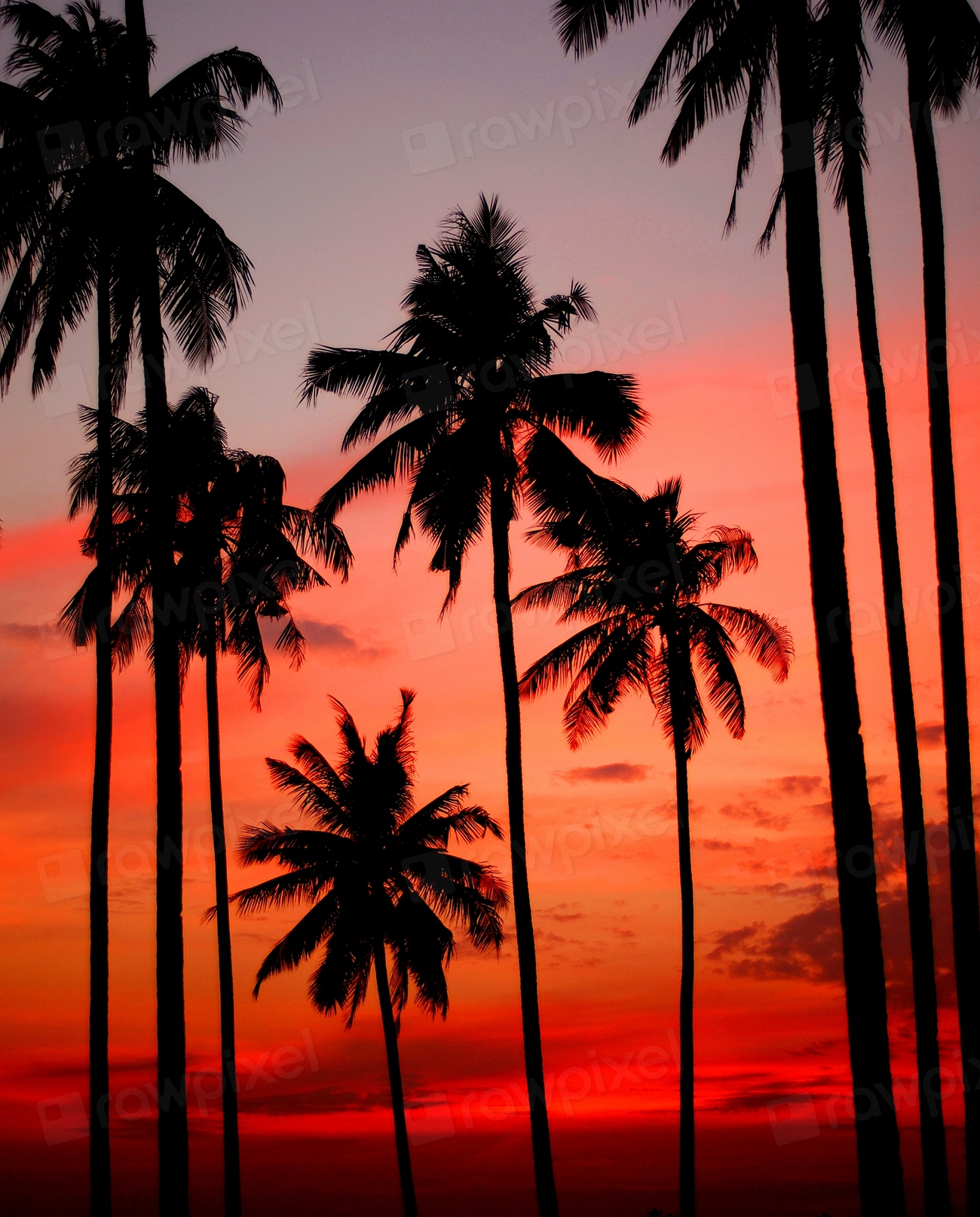 Sunset on a tropical Island | Premium Photo - rawpixel