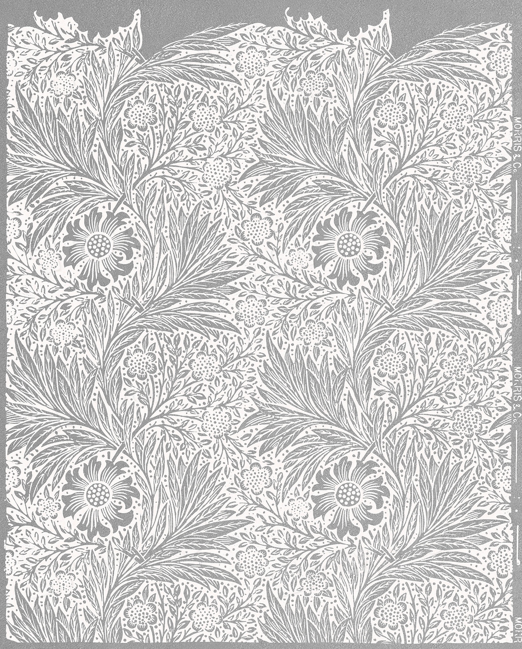Marigold wallpaper pattern, remix of original | Premium Photo