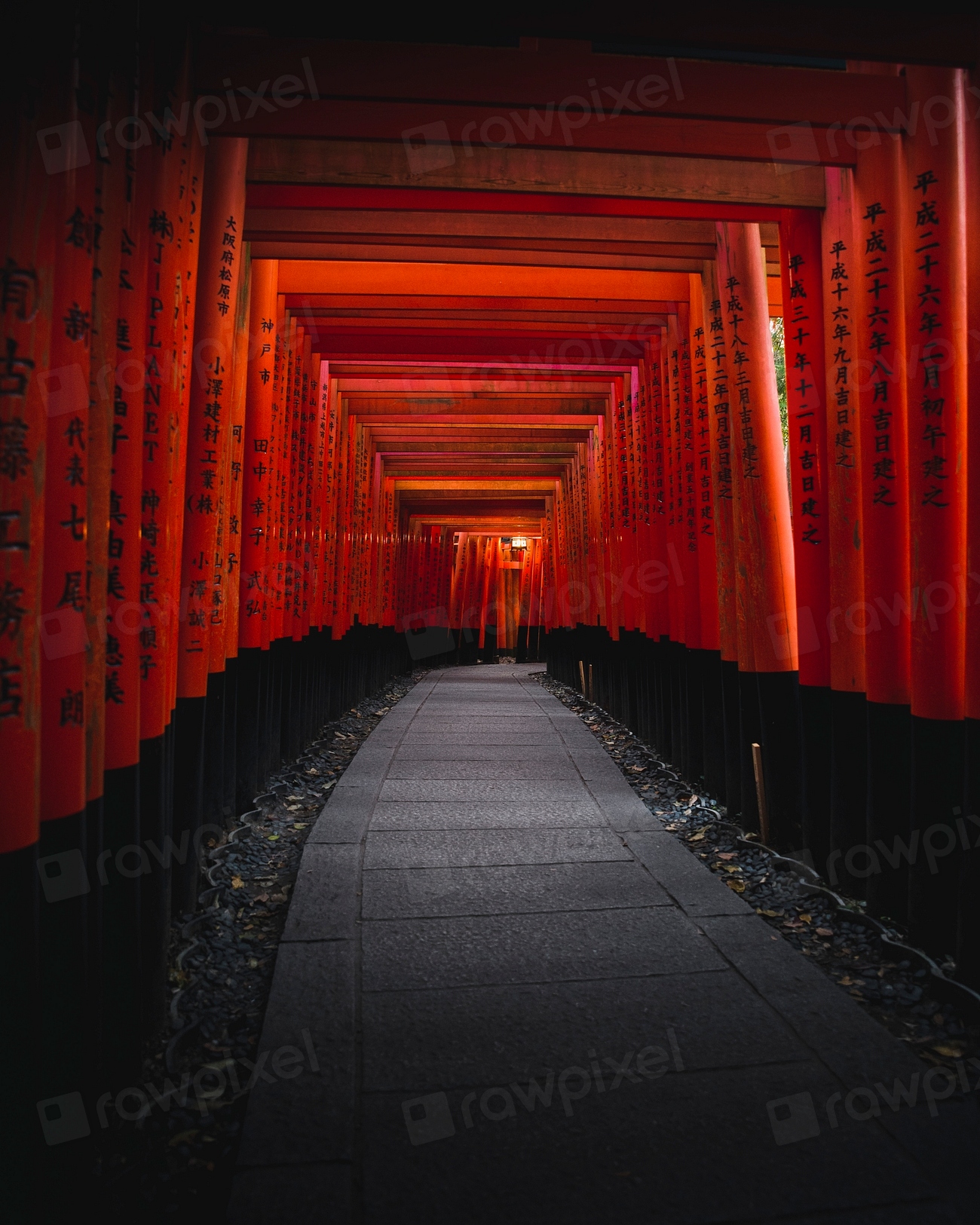 Fushimi Inari Shrine Gate In Kyoto, 