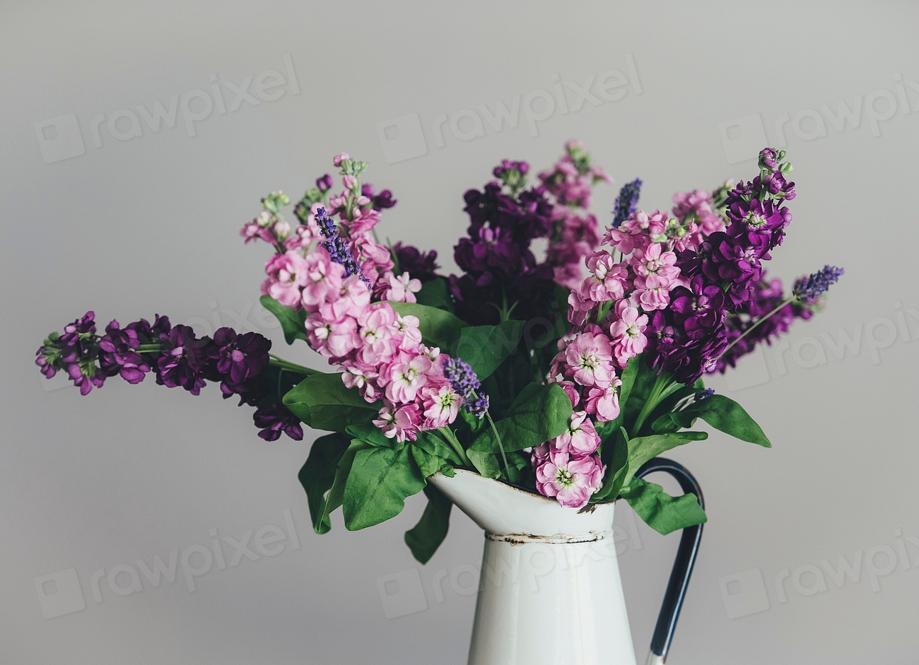 Purple flowers in a vase. Free Photo rawpixel