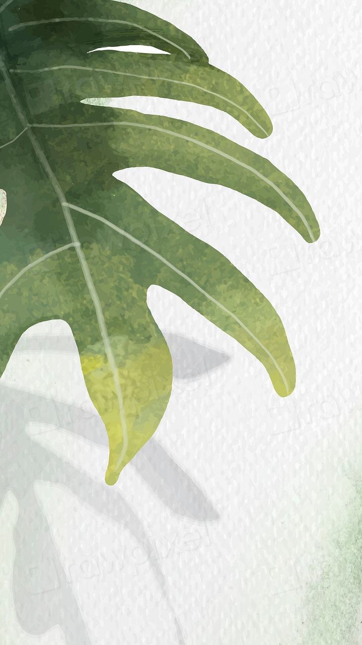 Philodendron radiatum leaf pattern white | Premium Vector - rawpixel