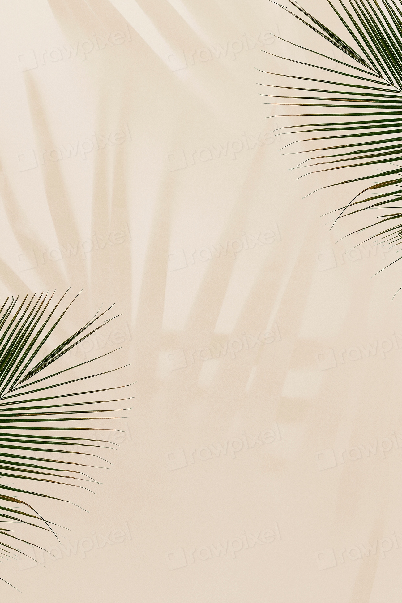 Fresh palm leaves on beige | Premium Photo - rawpixel