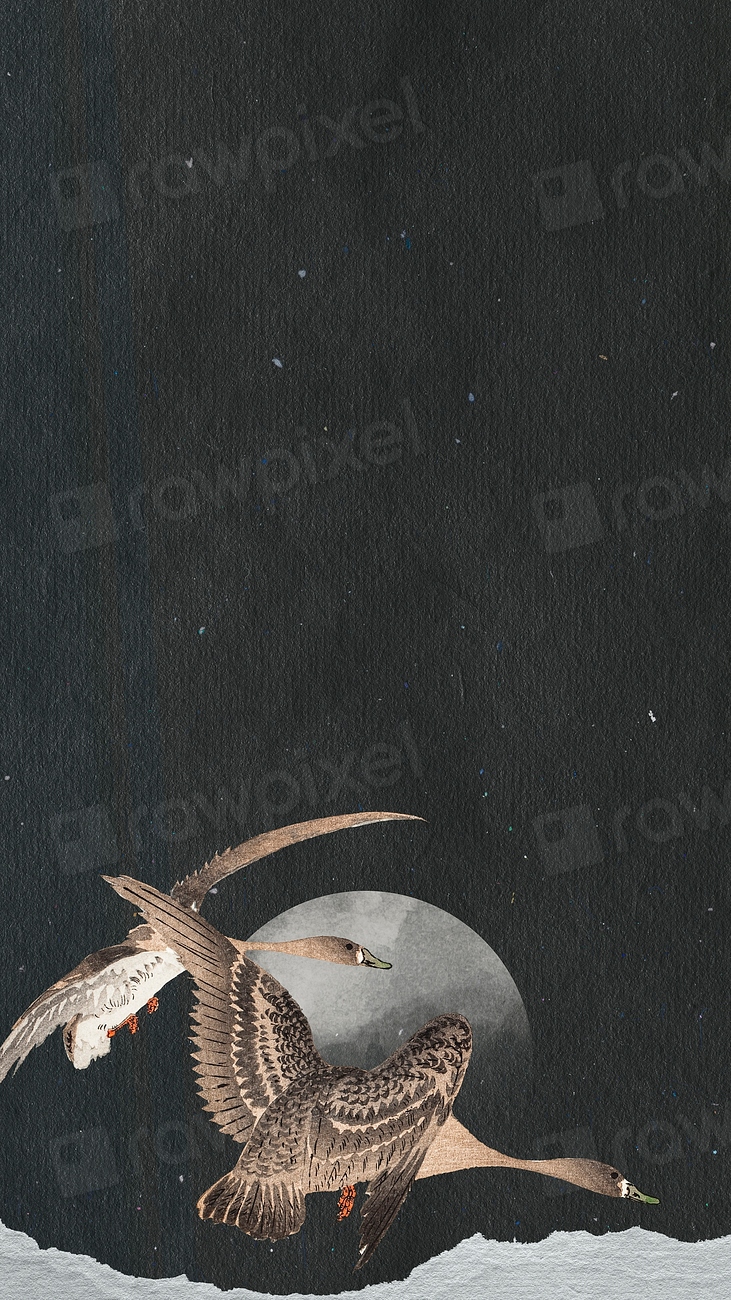 Flying geese in a full | Premium Photo - rawpixel