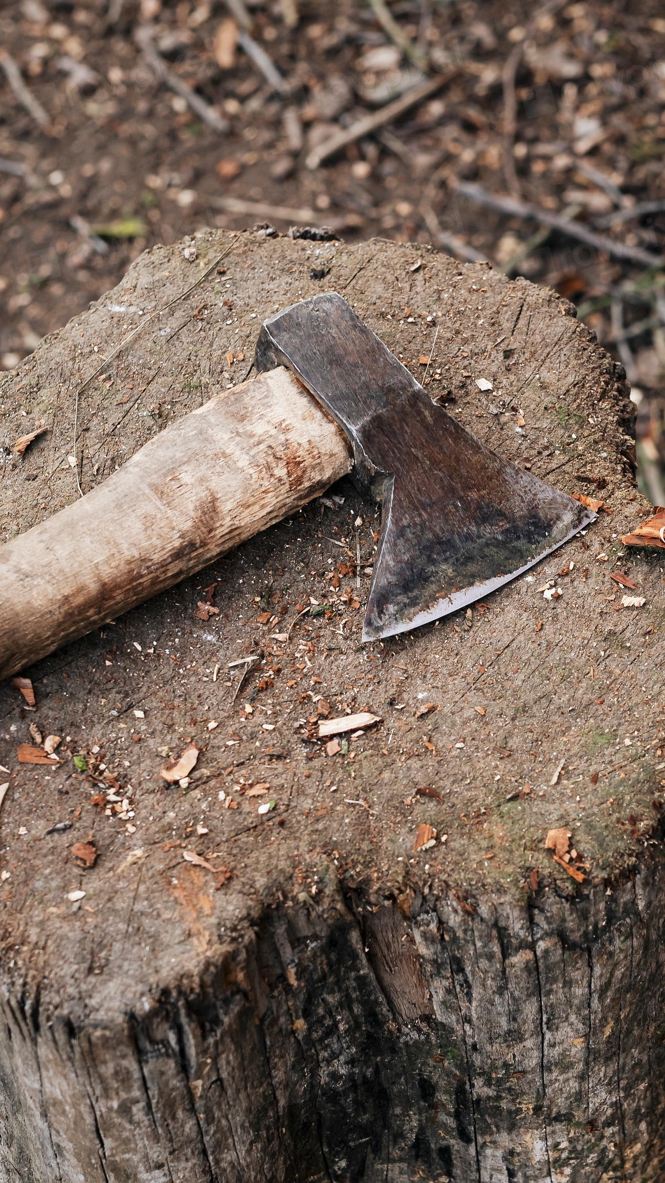 Axe on a tree stump | Premium Photo - rawpixel