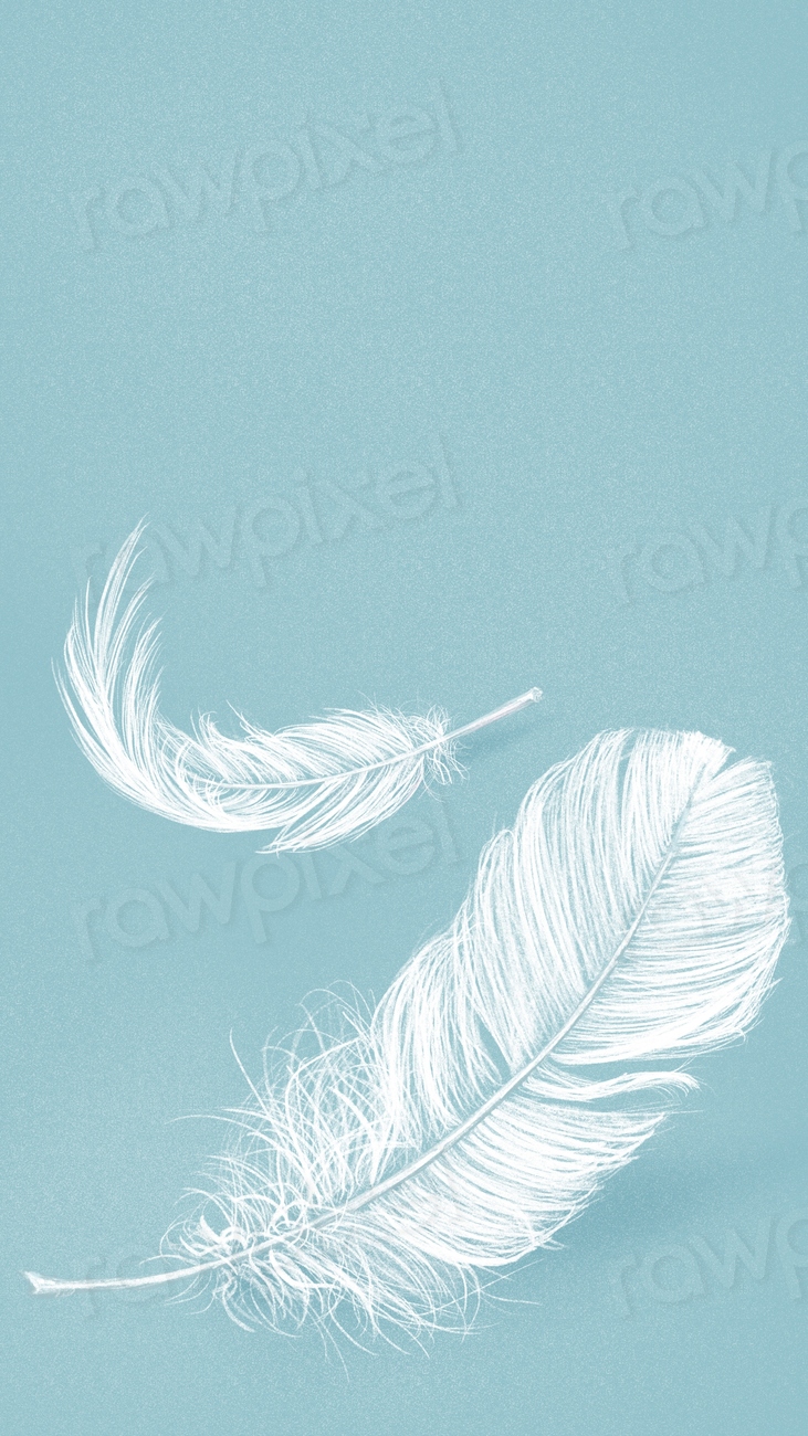 Hand drawn white feather on blue | Free Photo Illustration - rawpixel