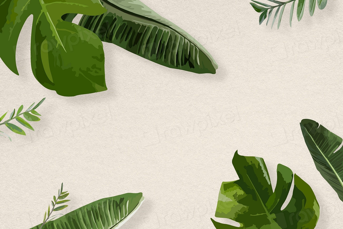 Green leaf border frame, banana | Free Photo Illustration - rawpixel