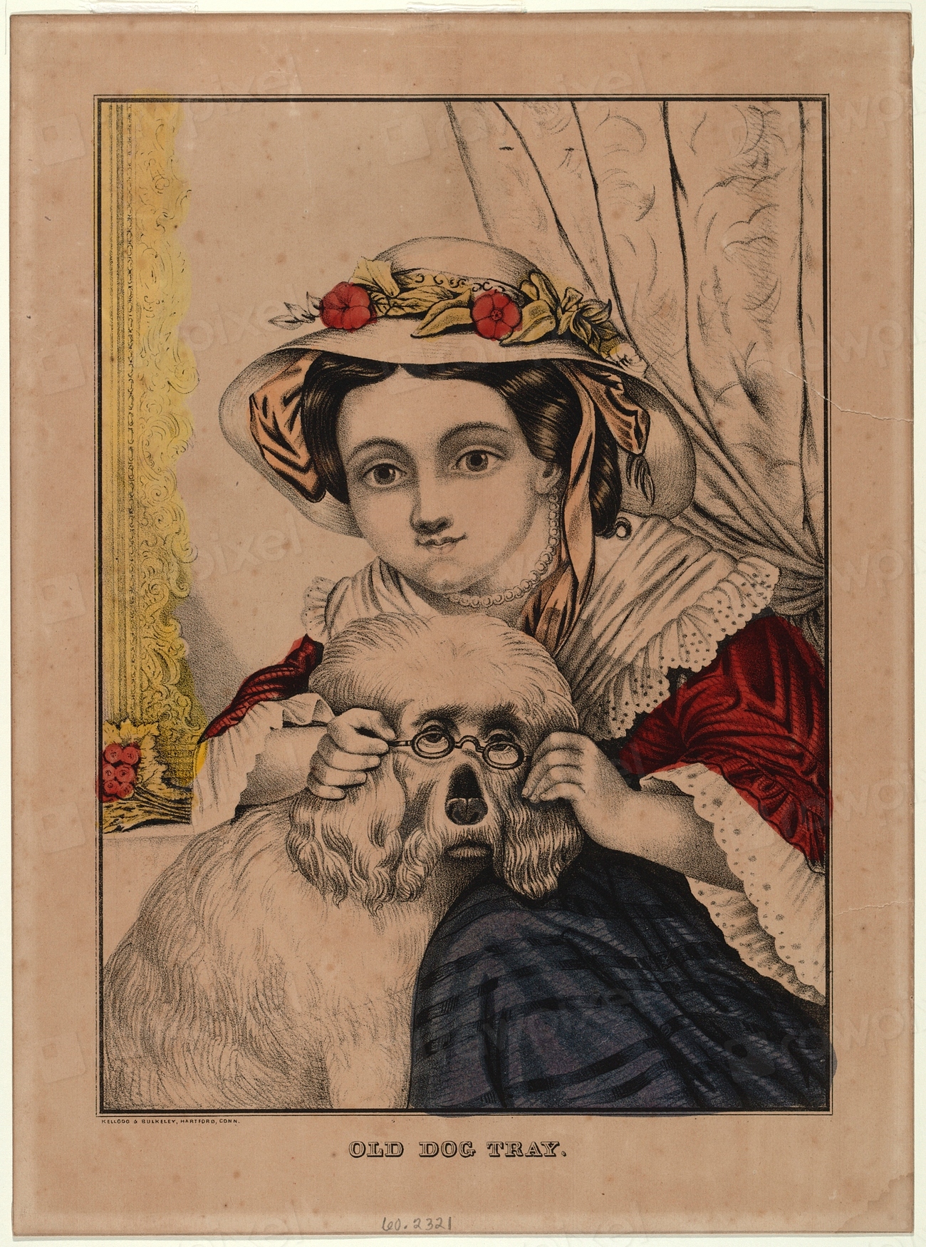 Old Dog Tray, Smithsonian National Free Photo rawpixel