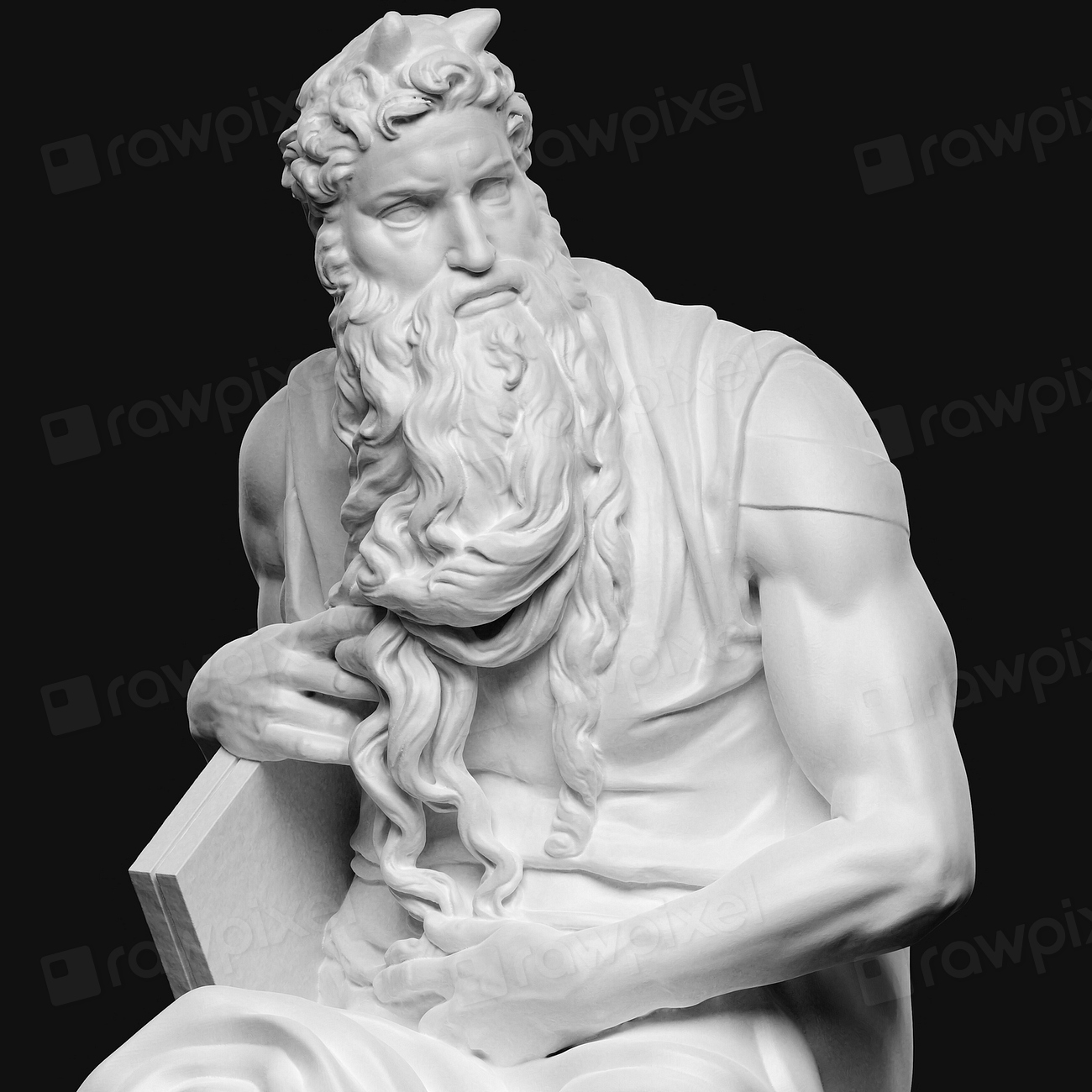 Moses by Michelangelo Buonarroti Free Photo rawpixel