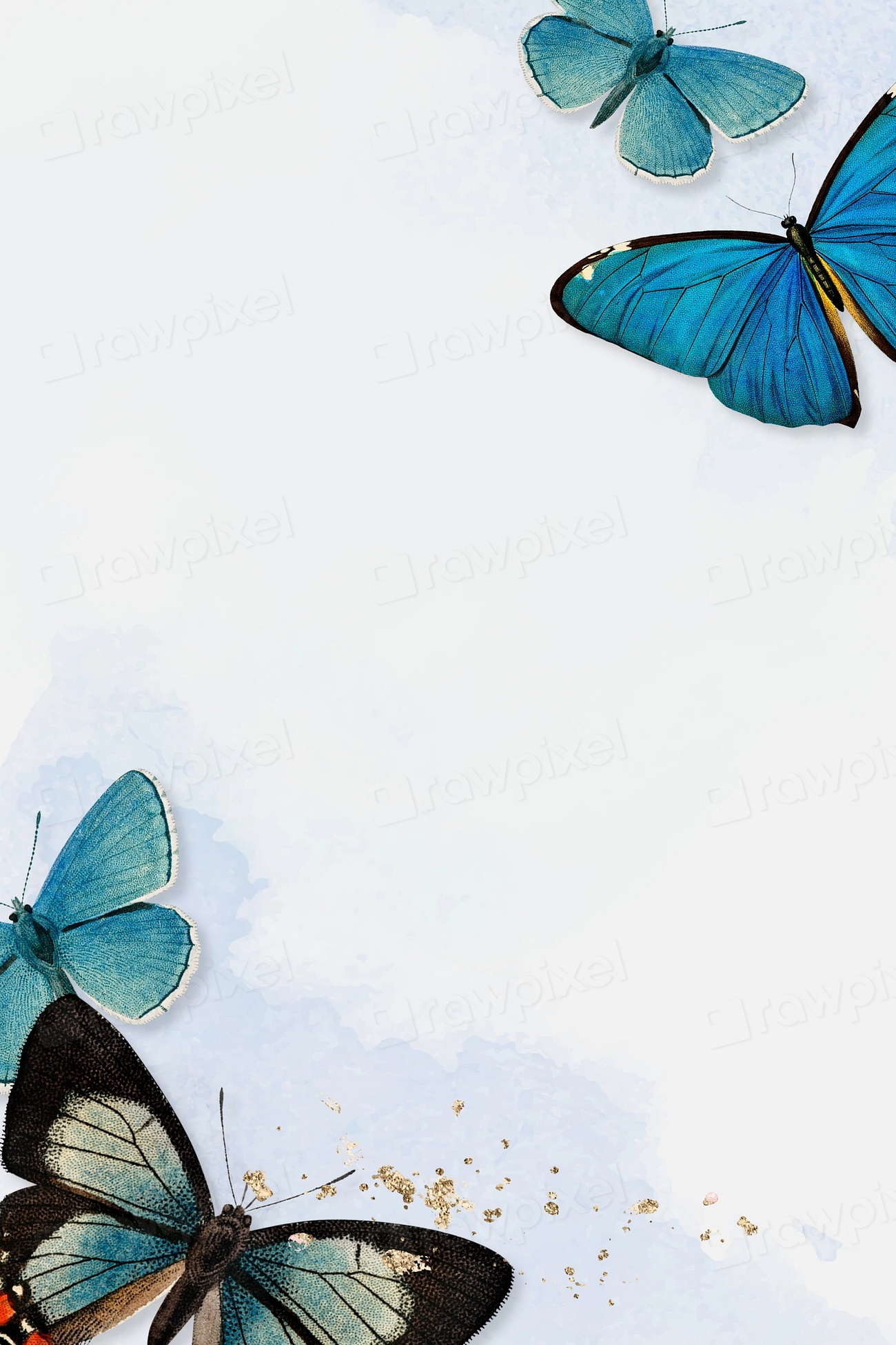 Blue butterfly border background | Premium Photo - rawpixel