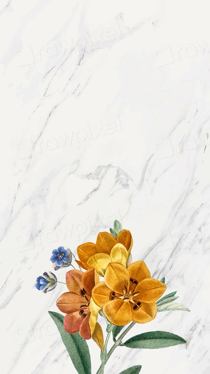 Floral border iPhone wallpaper, white Premium Photo rawpixel