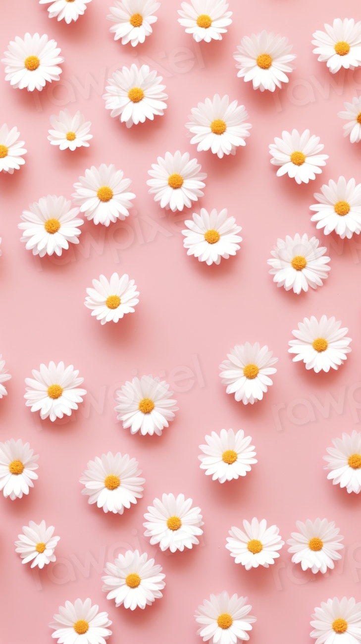 Wallpaper pattern flower daisy backgrounds. | Premium Photo - rawpixel