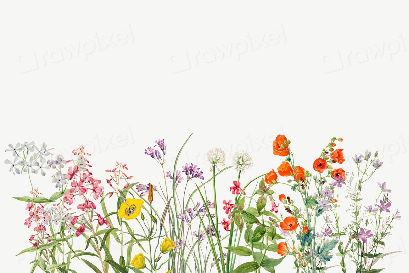 Summer flower, vintage illustration psd | Premium PSD Illustration ...