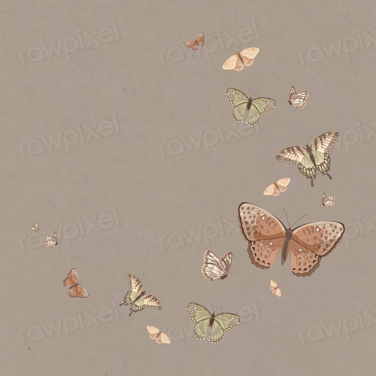 Earth tone butterfly border frame, | Premium PSD Illustration - rawpixel