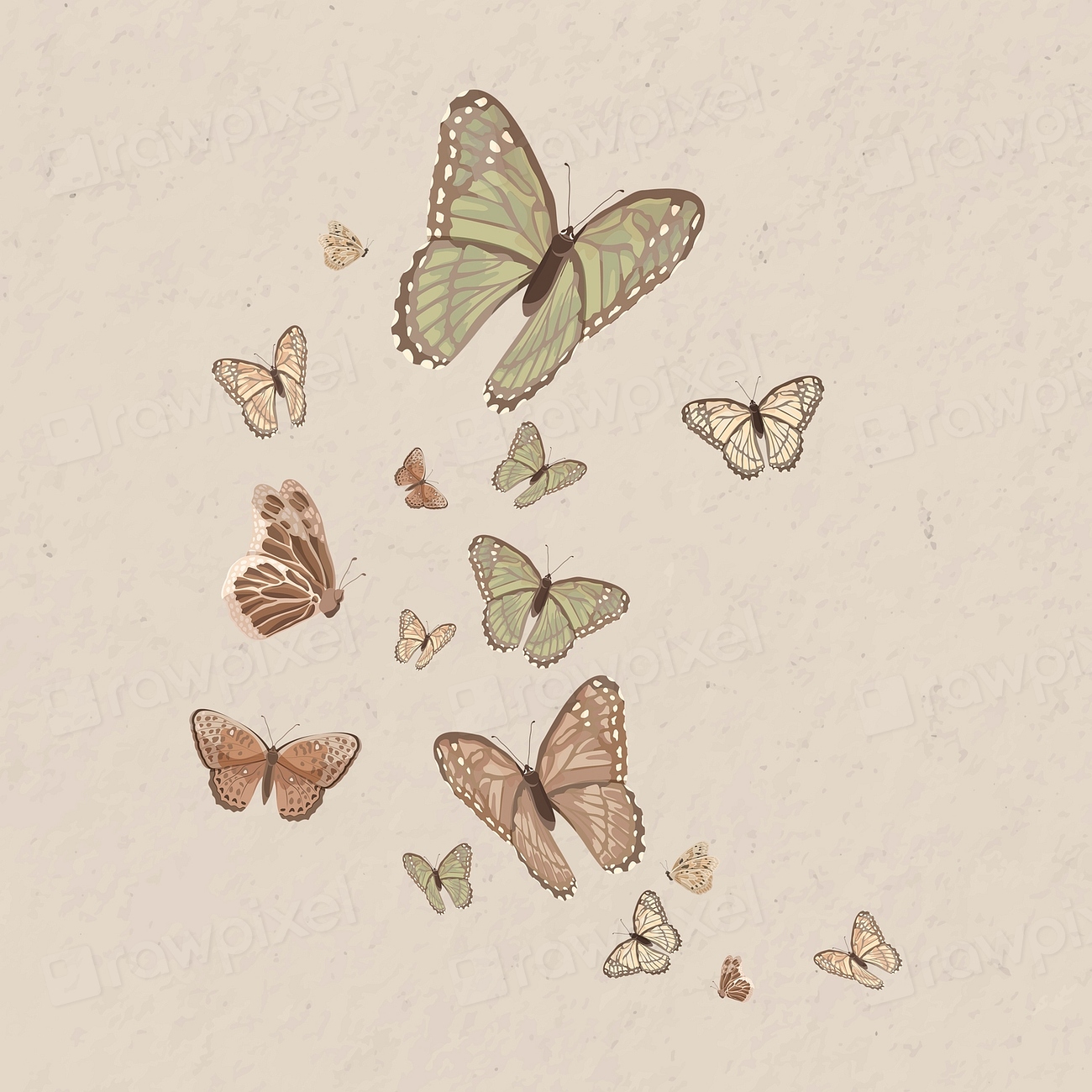 Earth tone butterfly border, watercolor | Premium Vector Illustration ...