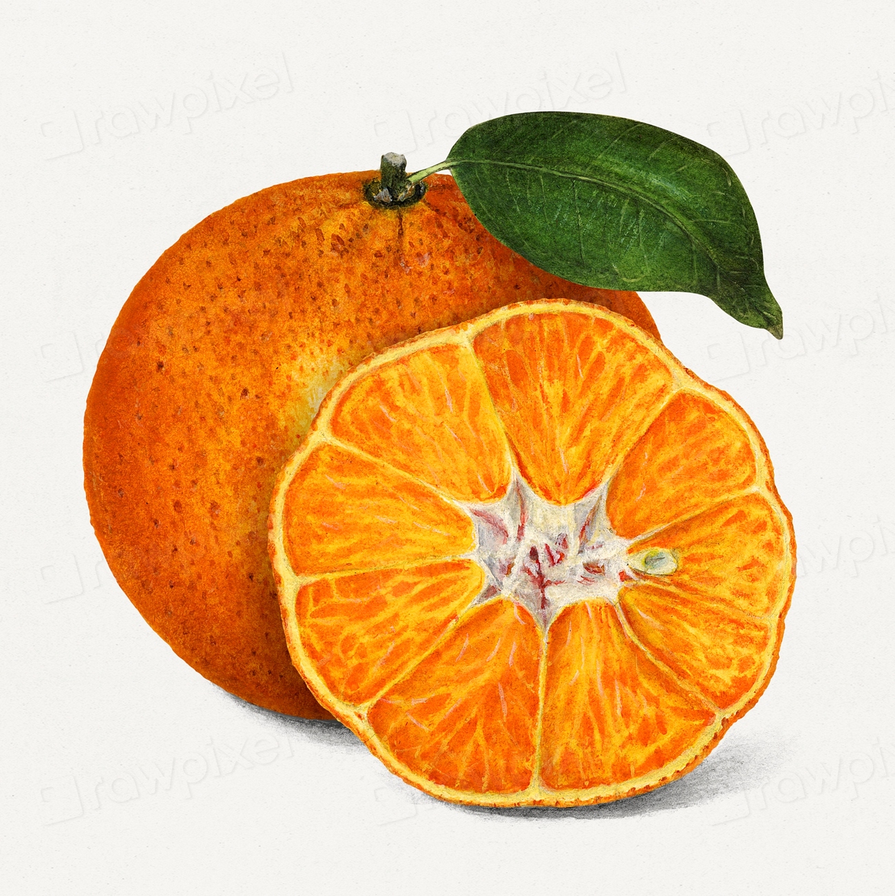 The picture shows half of orange and a pomegranate