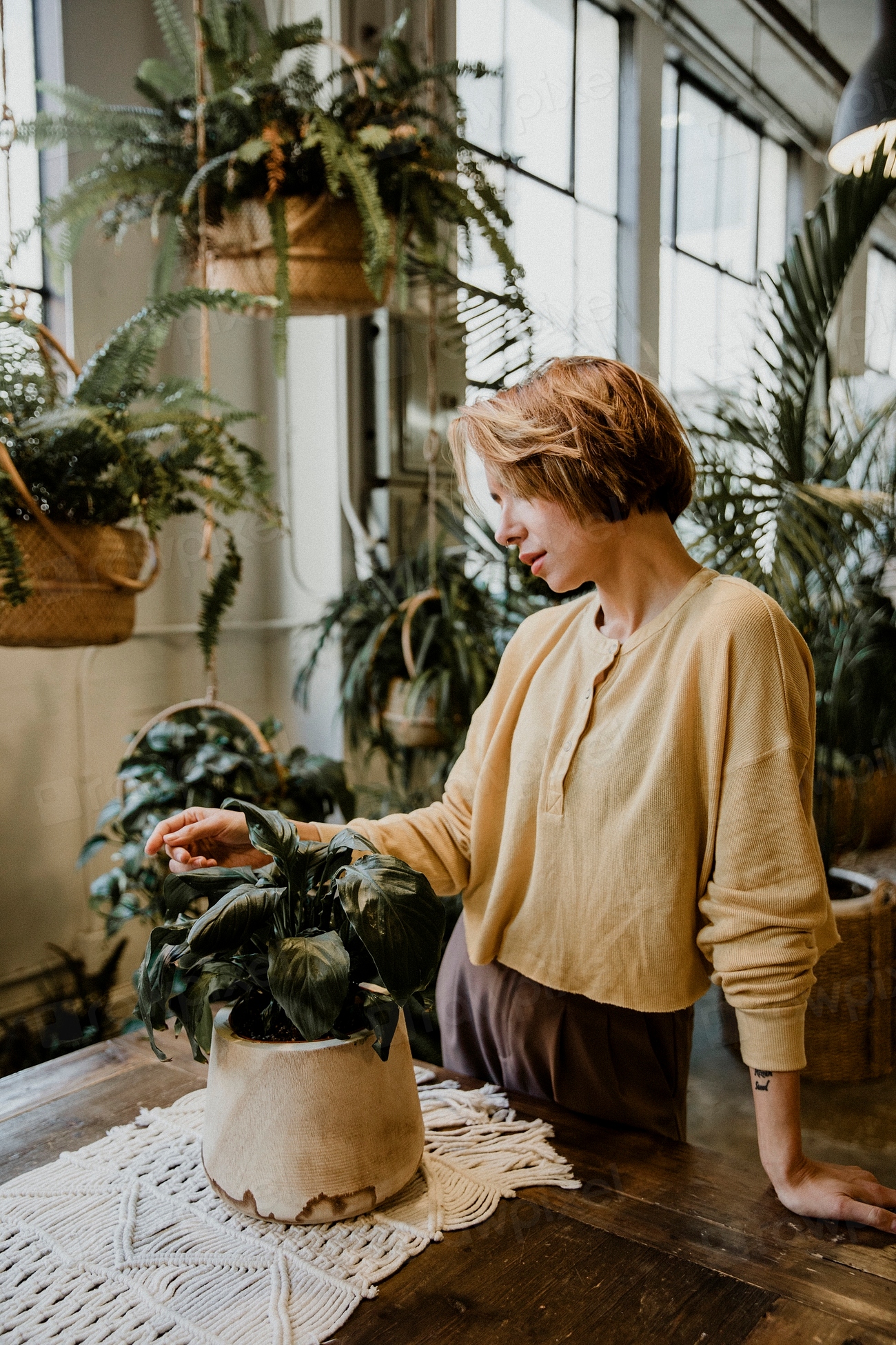 Woman taking care her plants | Premium Photo - rawpixel