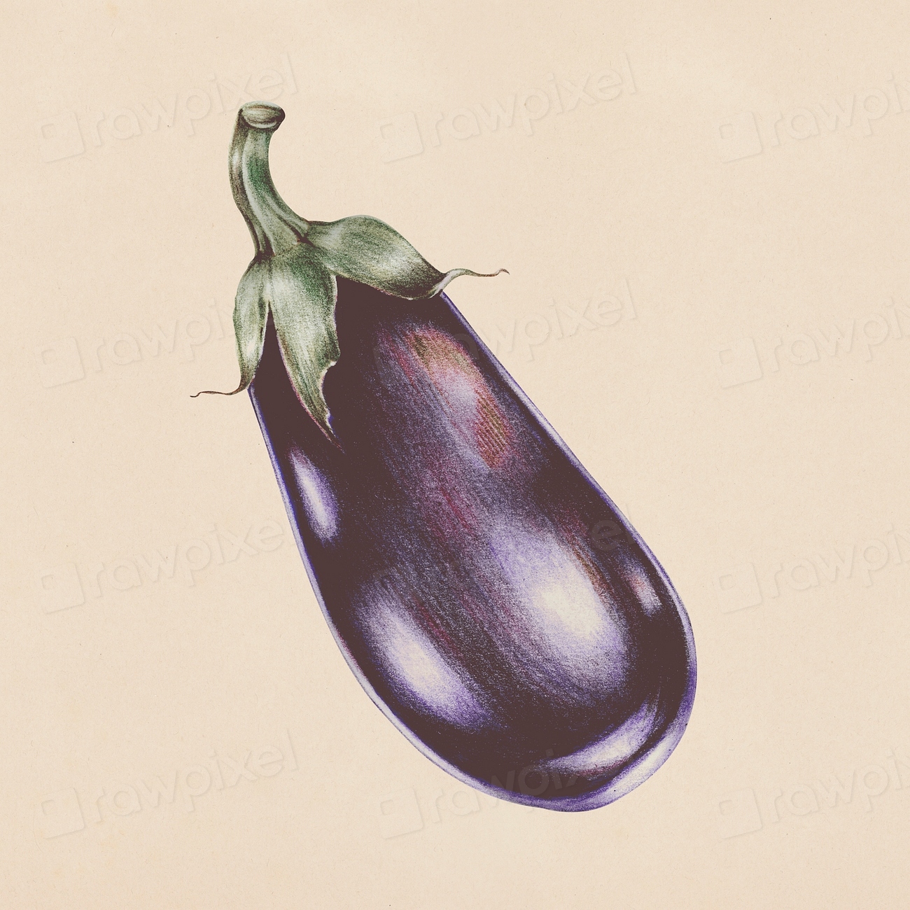 Hand drawn eggplant illustration Premium PSD Illustration rawpixel