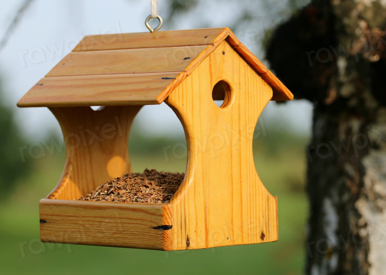 Insects and invertebrates for bird diet
