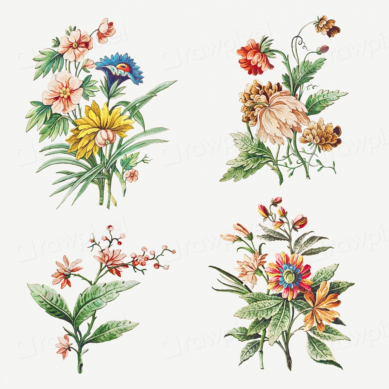 Vintage blooming flower set design | Premium PSD - rawpixel