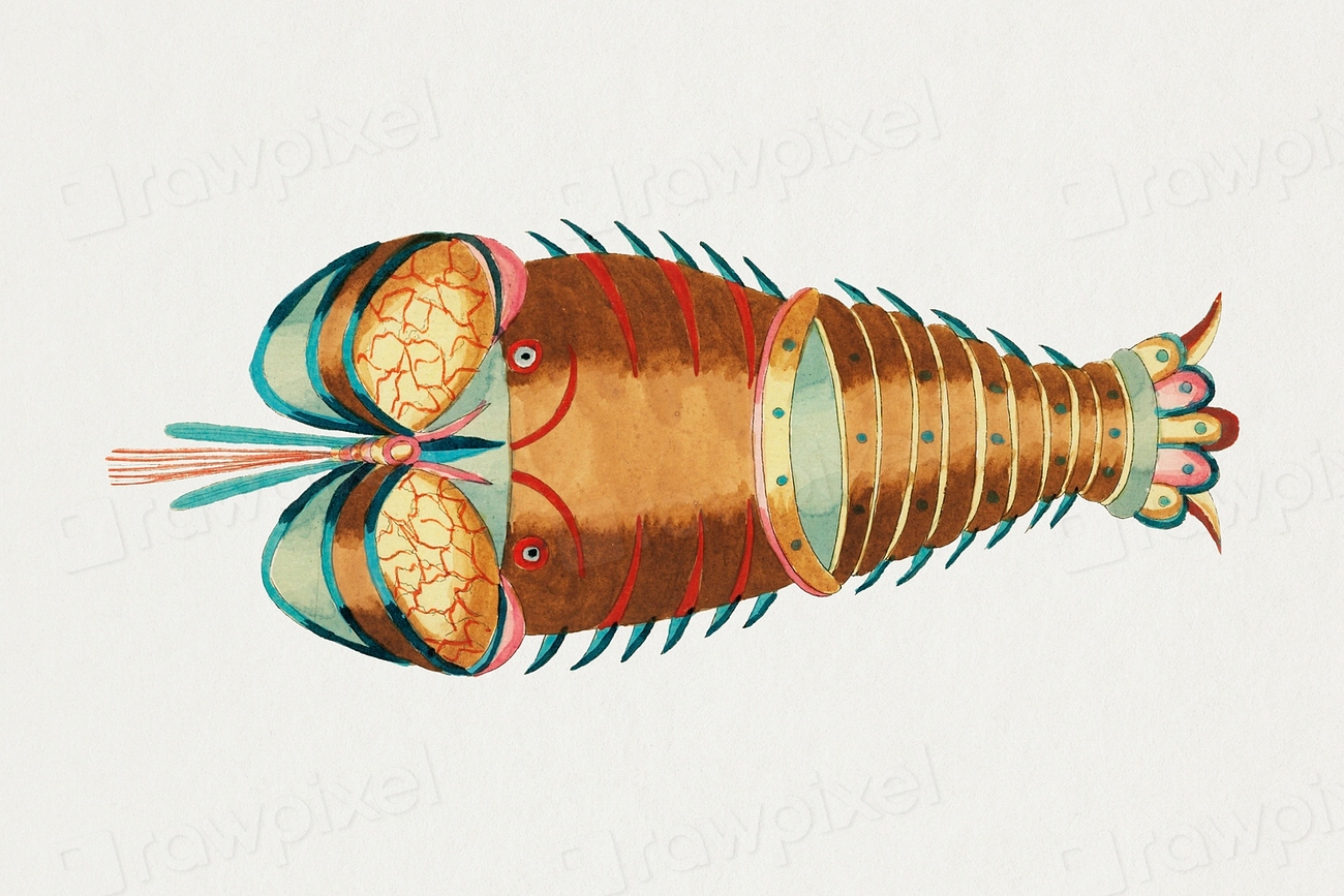 Ancient lobster sticker, aquatic animal | Free PSD Illustration - rawpixel