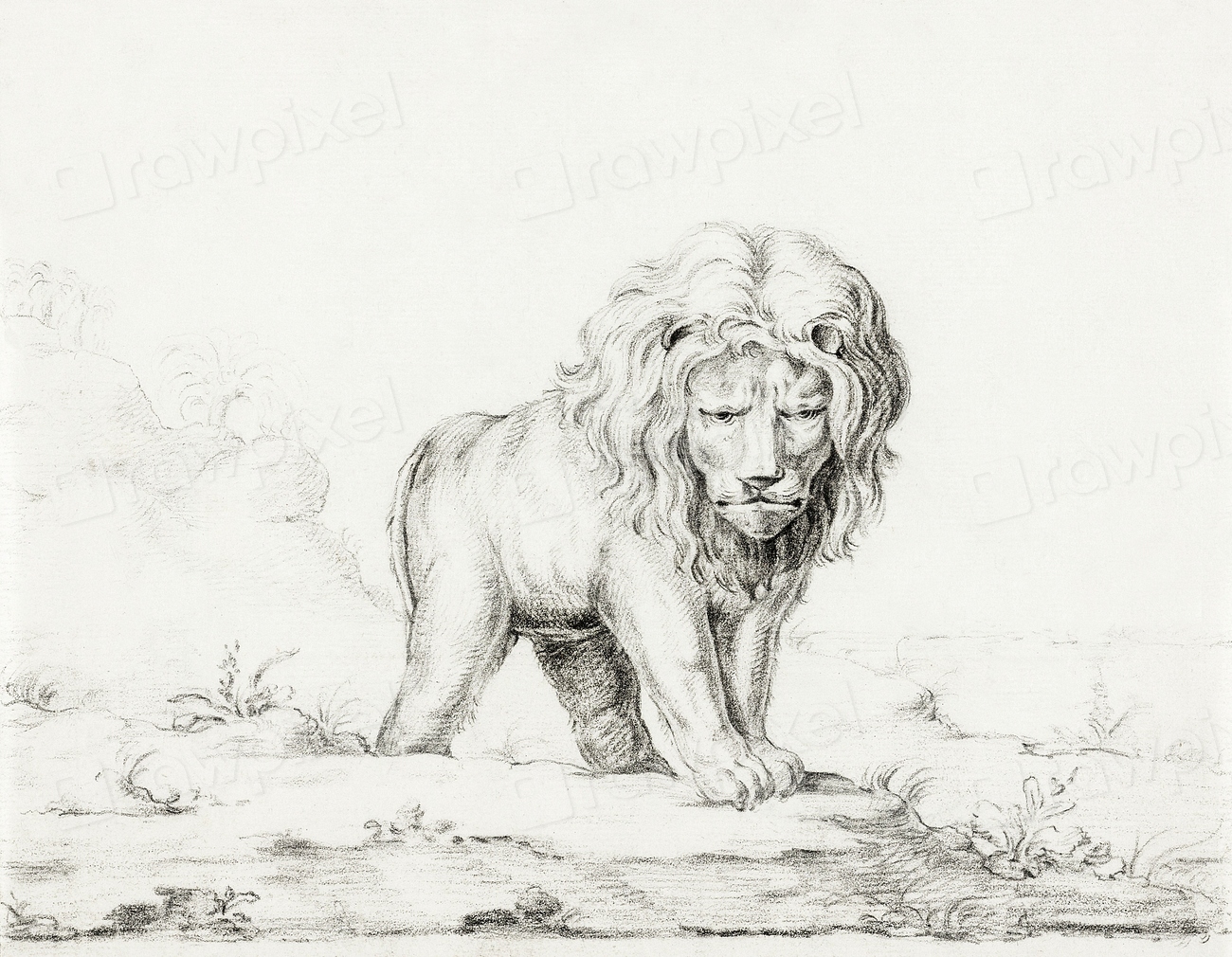Lion Jean Bernard (17751883). Original Free Photo Illustration