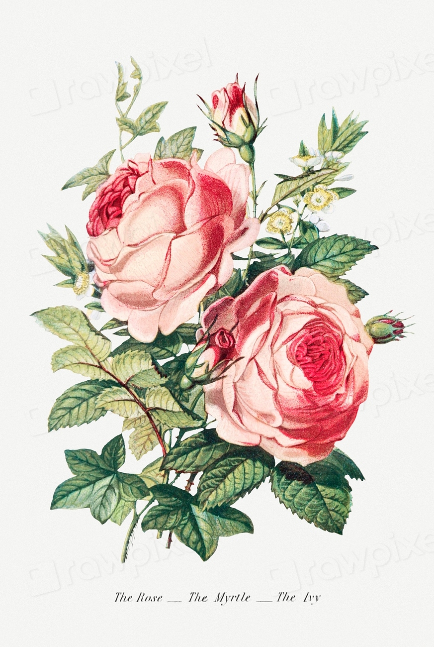 Vintage flower bouquet mockup | Premium PSD - rawpixel