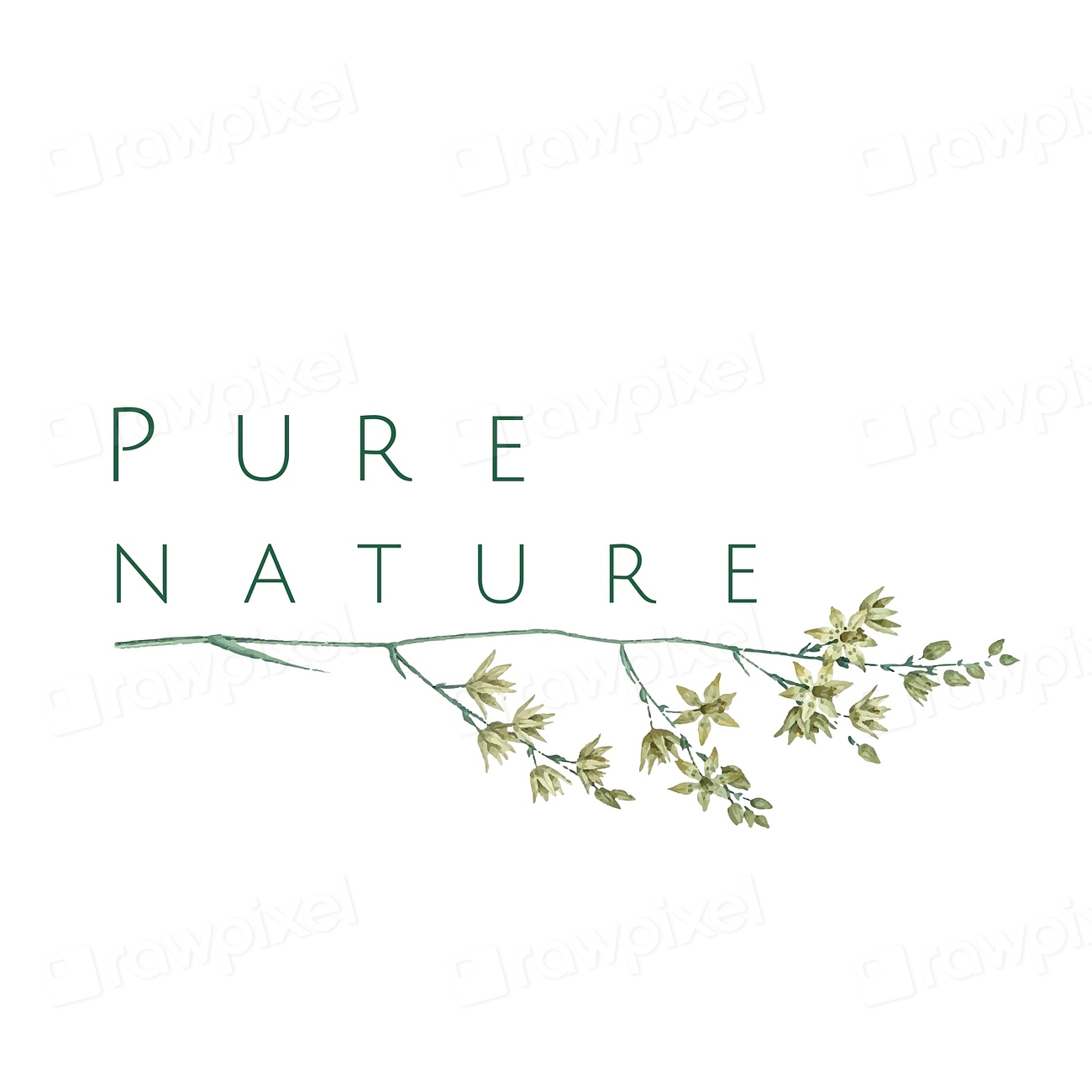 Pure nature logo design vector | Premium Vector - rawpixel