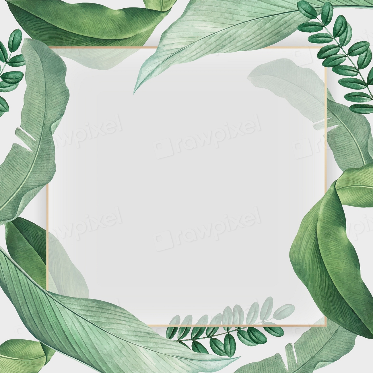Gold frame on a tropical | Premium Vector - rawpixel