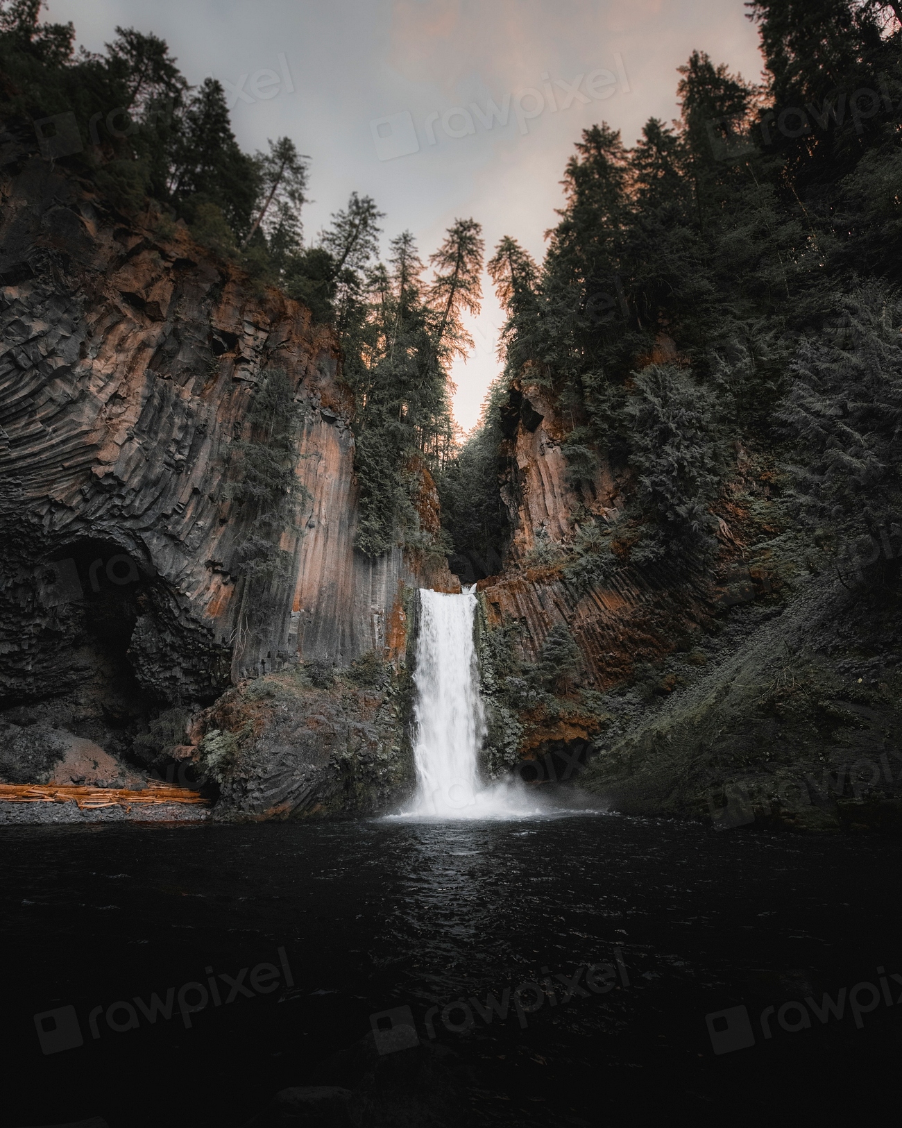 View Toketee Falls Oregon, USA | Premium Photo - rawpixel