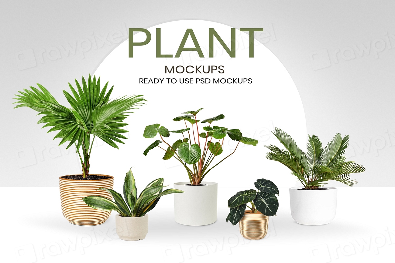 Green houseplant mockup psd banner | Premium PSD - rawpixel