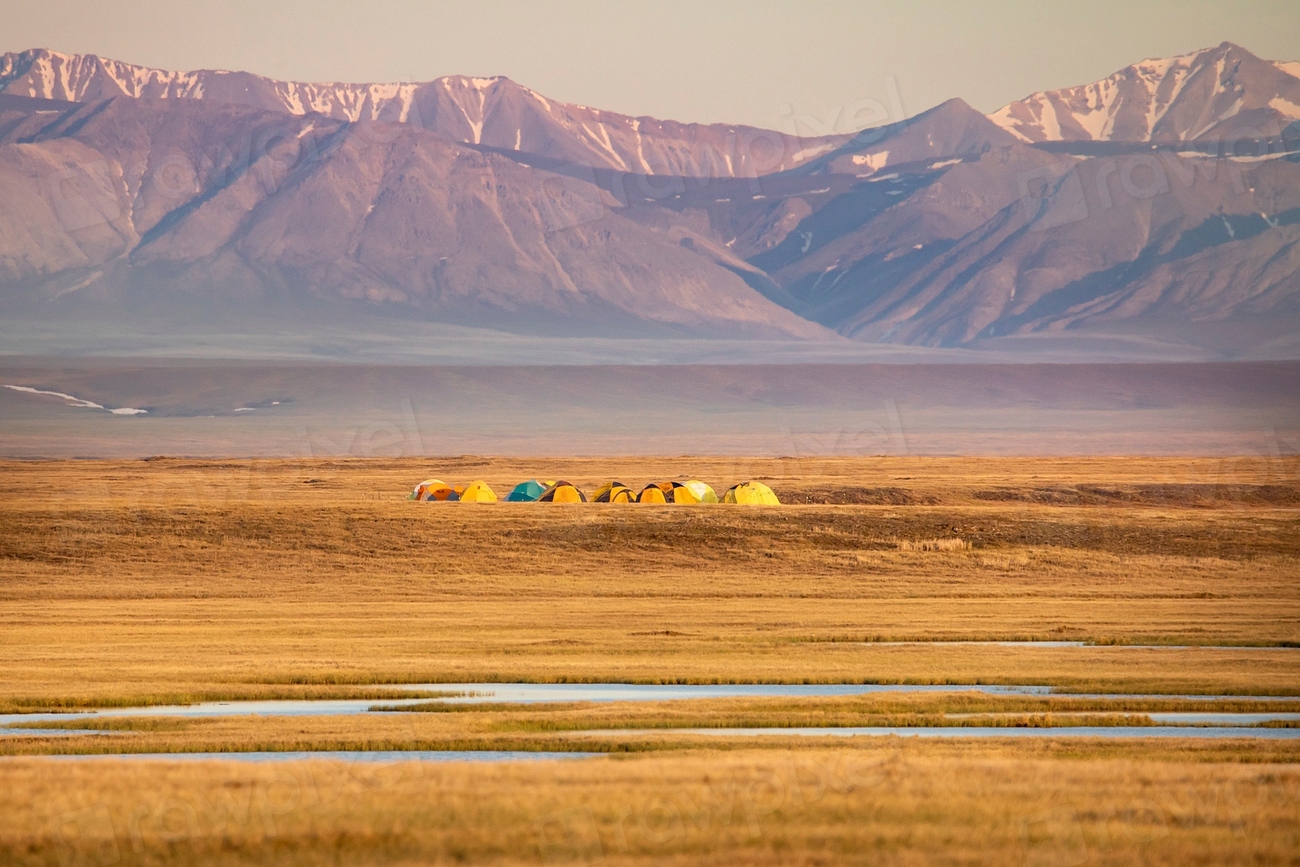 Camping In Arctic National Wildlife Free Photo Rawpixel