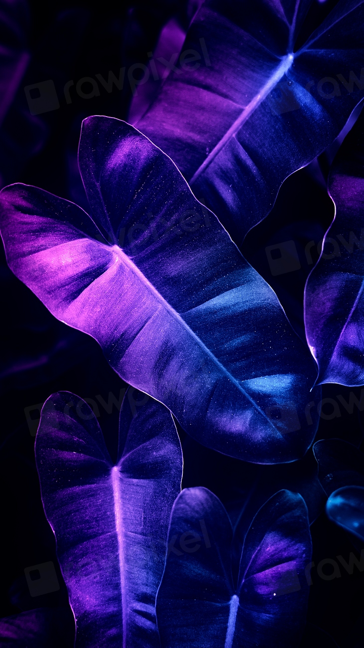 Anthurium leaves mobile screen wallpaper | Premium Photo - rawpixel