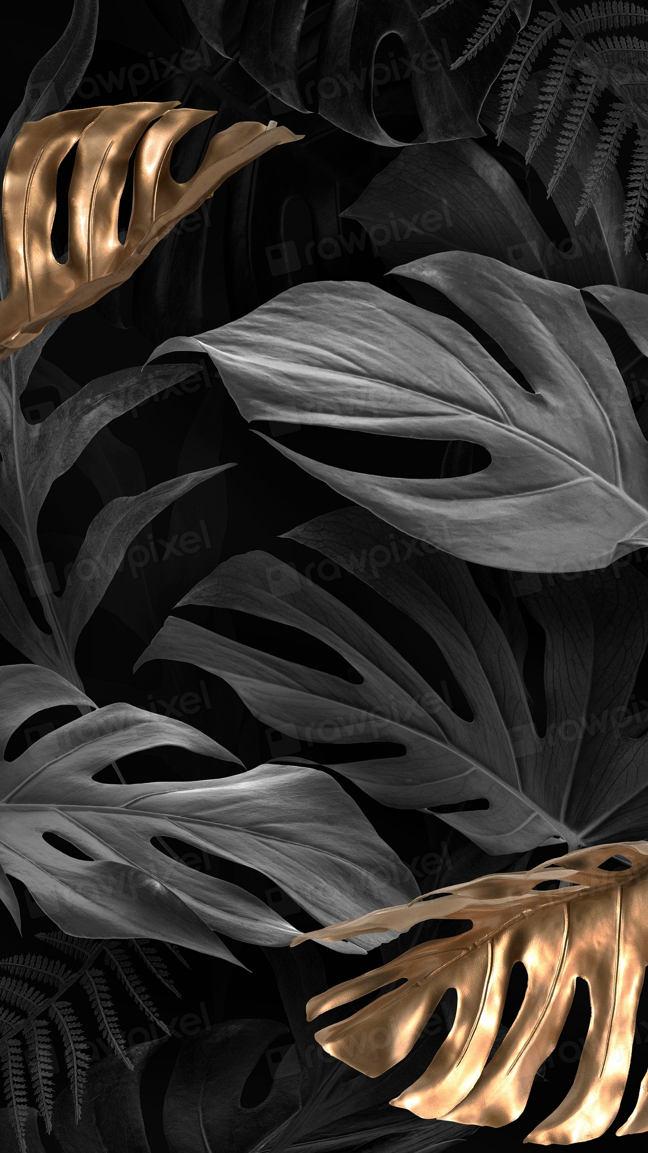 Black leaf mobile wallpaper, nature | Premium Photo - rawpixel