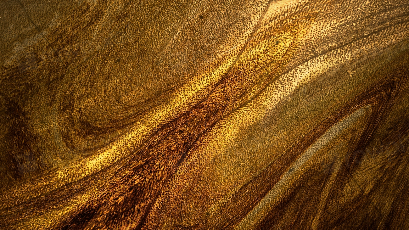 Golden black HD wallpaper, abstarct | Premium Photo - rawpixel