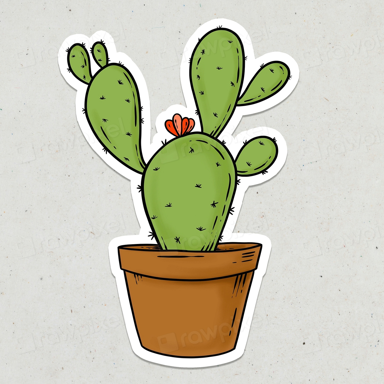 Green cactus sticker design element | Premium PSD - rawpixel