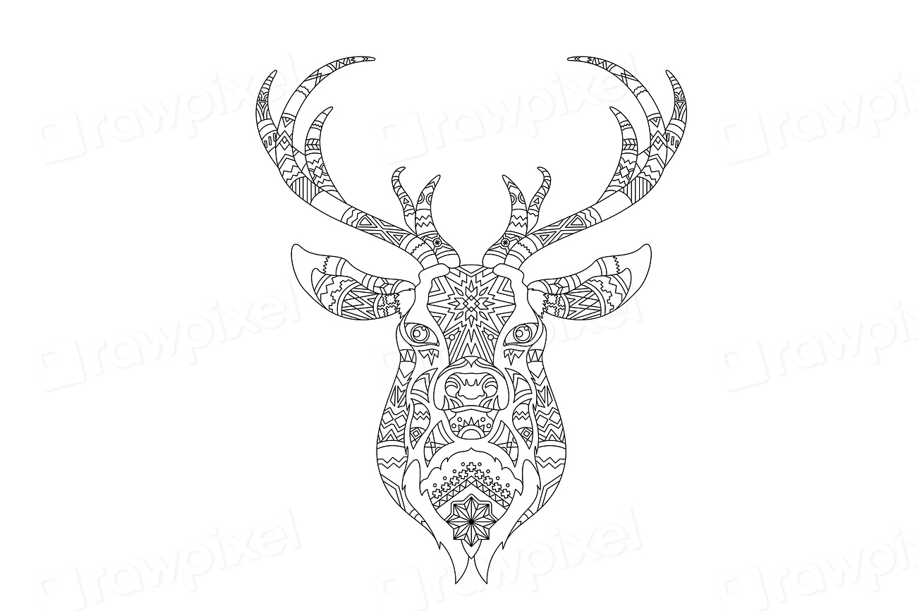 Intricate coloring pattern reindeer head Premium Vector Illustration