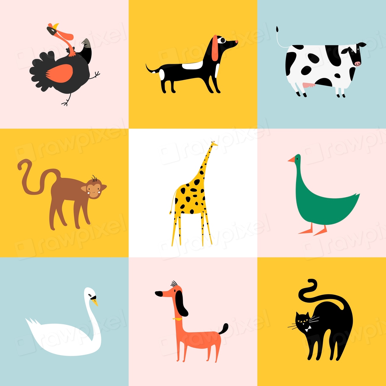 Collage different kinds animals | Free Vector Illustration - rawpixel